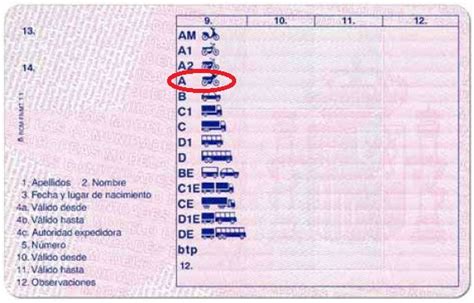 Dgt Clases De Permisos De Conducir