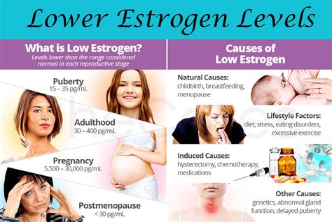 What Low Estrogen Levels Mean And The Symptoms Hot Sex Picture