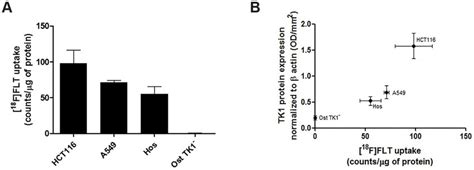 Comparison Of Thymidine Kinase 1 TK1 Expression To 18 F FLT Uptake