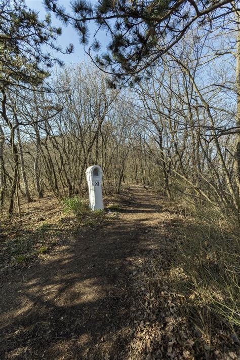 Hiking Trail in the Buda Hills Near Budapest Stock Image - Image of sunny, europe: 172033869