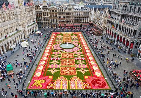 I Got Your Rug!: The Brussels Flower Carpet