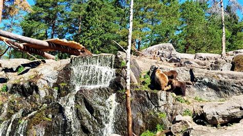 Kolmårdens Djurpark Kolmården Sverige Omdömen