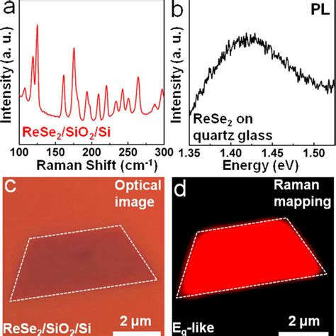 Optical Property Characterizations For Transferred Monolayer ReSe2 On