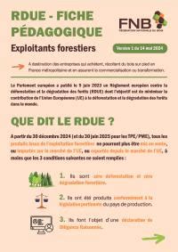 Règlement européen contre la déforestation et la dégradation des forêts