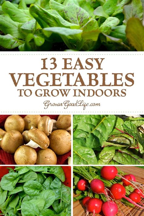 How To Grow Vegetables Indoors Growing Food Indoors Growing