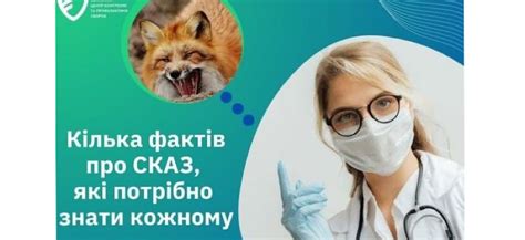 Кілька фактів про сказ що треба знати — ПроЗахід новини