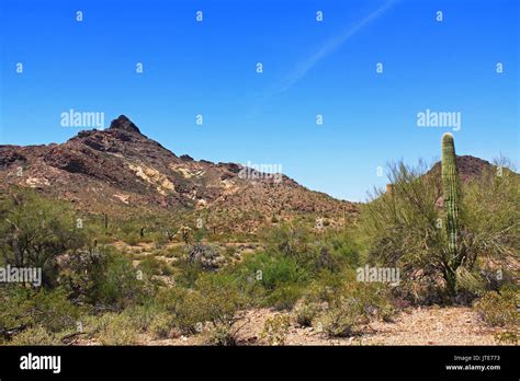 Blue Sky Copy Space Near Pinkley Peak In Organ Pipe Cactus National