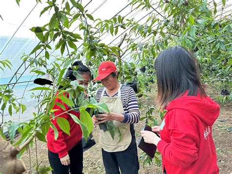 科技助农 平谷科技小院成村民种田的“智囊团”北京时间