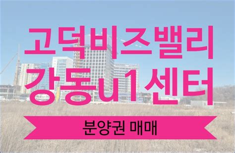 고덕비즈밸리 강동 U1 지식산업센터 전매 분양 정보 네이버 블로그