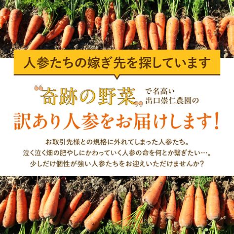 【楽天市場】人参 訳あり 無農薬にんじん 無農薬人参 ジュース用 スムージー用 5kg 10kg から選べる 傷あり 割れあり 栄養 ご家庭用