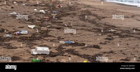 Basura En La Playa Contaminación Oceánica Mundial Contaminación