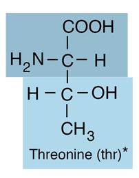 Threonine