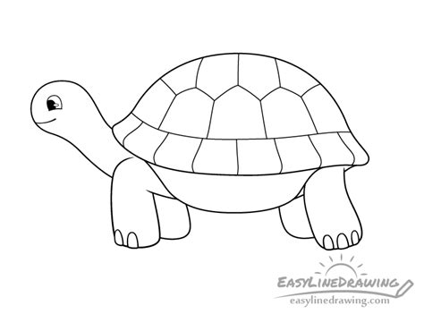 Tortoise Drawing For Kids