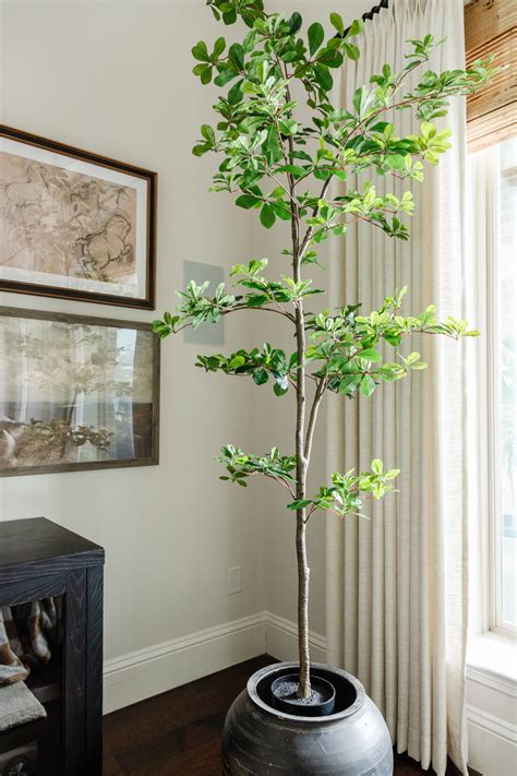 Affordable Faux Black Olive Trees Crazy Wonderful