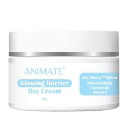 Jual Animate Glowing Barrier Night Cream 10gr HBHoz