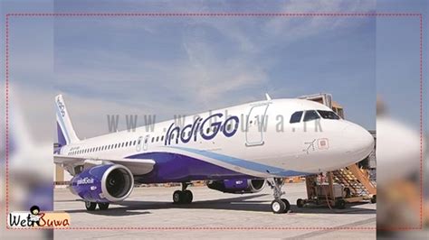 Indigo Launches Mumbai Colombo Flights Web Buwa වබ බව