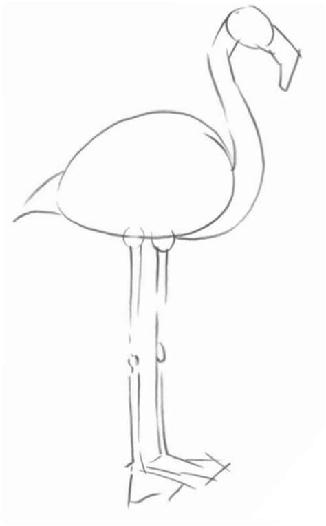 How to draw a flamingo. Step-by-step drawing tutorial.