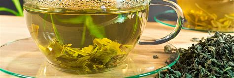 Зеленый чай: польза и возможный вред для организма| от Роскачества