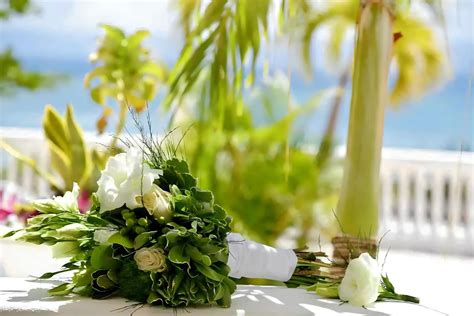 Bahia Principe Grand Jamaica ️ Destination Weddings - Destify