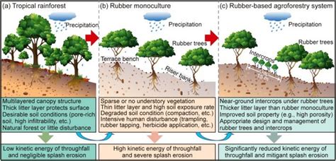 Researchers analyze splash erosion and its prospective controls for ...