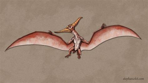 Pteranodon Longiceps By Kitxunei On Deviantart