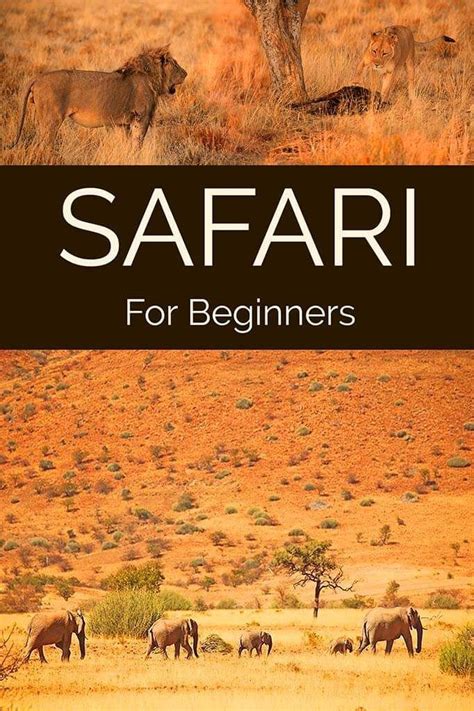 African Safari Tips And Things To Know Before Going On Safari In Africa