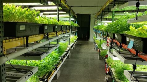 The Best Hydroponics Store To Buy Your System Properly Rooted