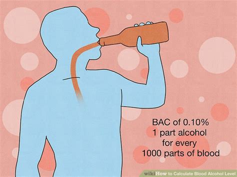 Calculating Blood Alcohol Content