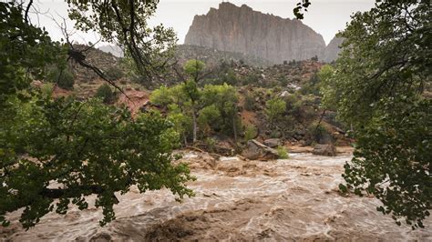 Why are flash floods so dangerous? Avoiding rising water on a desert ...