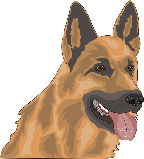 Vector Black Dog German Shepherd Breed Stock Vector Illustration Of