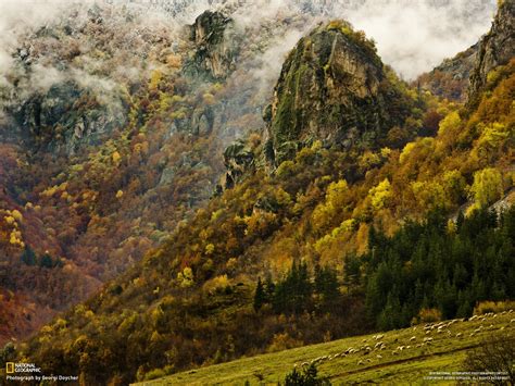 Wallpaper Landscape Forest Mountains Hill Nature Reflection