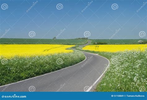 Country cross-roads stock image. Image of landscape, single - 5110869
