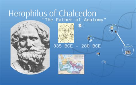 Herophilus of Chalcedon by Christy Broome on Prezi