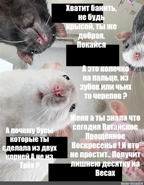 Meme: "Хватит банить, не будь крысой, ты же добрая, Покайся А это ...