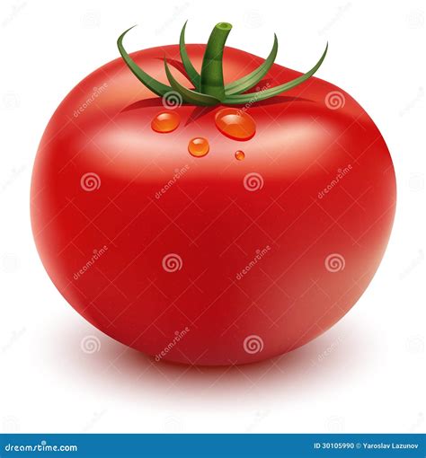 Tomate Rouge Illustration De Vecteur Illustration Du Cercle