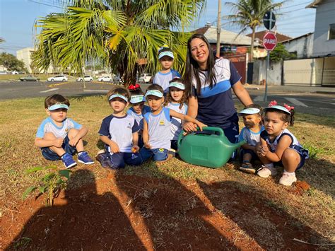 Alunos da Educação Adventista plantam mudas de Ipê em comemoração ao