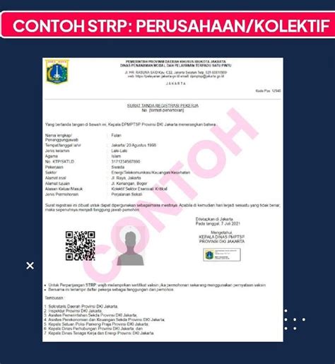 Detail Surat Tanda Registrasi Apoteker Koleksi Nomer 13