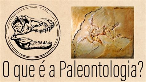 O Que Estuda A Paleontologia