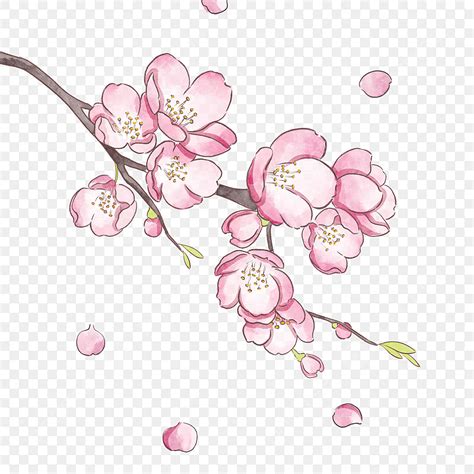 Spring Cherry Blossom Png Transparent Beautiful Spring Pink Cherry