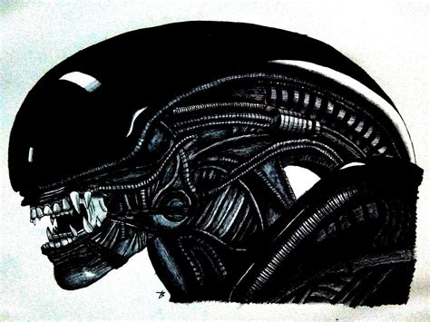 Xenomorph Alien Dibujo Arte Amino Amino