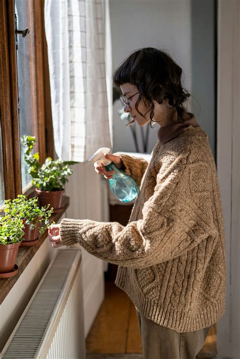 Quelles sont les meilleures plantes dintérieur pour purifier lair