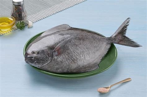 Black Pomfret / Karutha Avoli / Halwa Fish / ಮಾಂಜಿ (700g to 3kg) : Buy ...