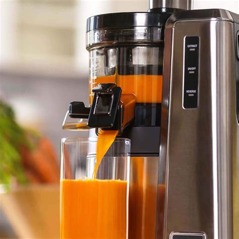 Best Juicers For 2024 Doti Michell