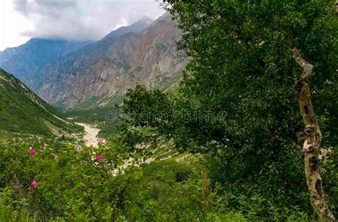 Ganga Ganges River Flows Through Himalayas In Gangotri National Park