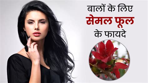 Semal Flower For Hair बालों के लिए काफी फायदेमंद होते हैं सेमल के फूल जानें इस्तेमाल का तरीका