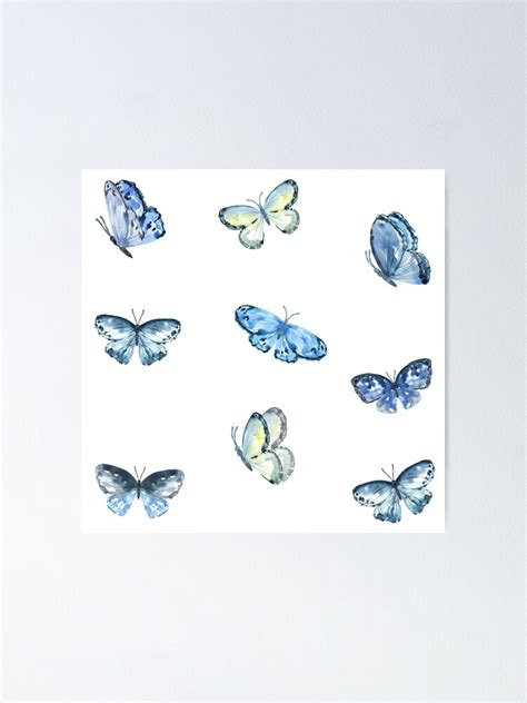 Watercolor Blue Butterfly Collection Poster For Sale By Silviaol