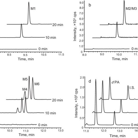 Representative Extracting Ion Current XIC Chromatograms Of DPA And