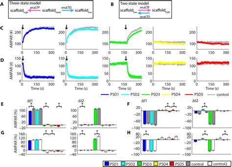 Heterosynaptic Plasticity In A Two State Model Of Synaptic Plasticity Download Scientific