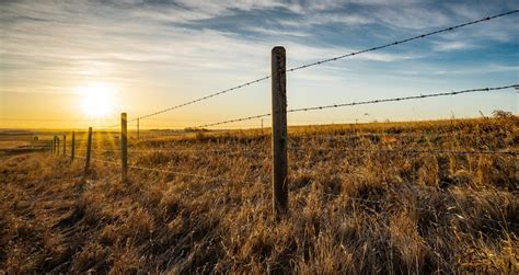 Types of Farm Fencing | Agricultural Fencing Guide | Estate Sawmills