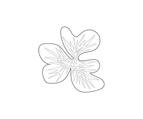 Flower Petal Outline Vector Art, Icons, and Graphics for Free Download